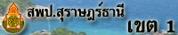 สำนักงานเขตพื้นที่การศึกษาประถมศึกษาสุราษฎร์ธานี เขต 1